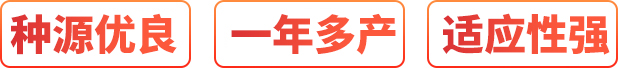 厂家直销、按需定制、价格优惠