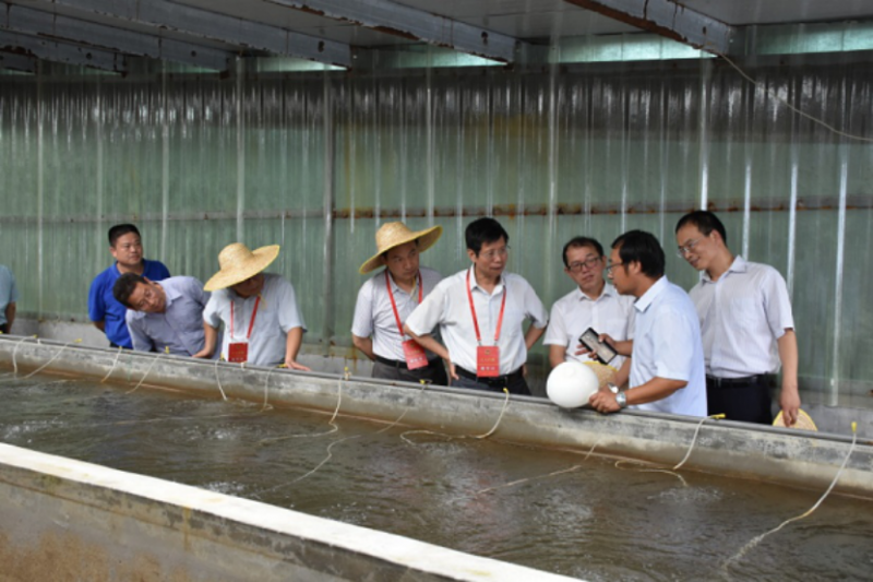 泰州市人大代表考察江苏鼎和水产科技有限公司